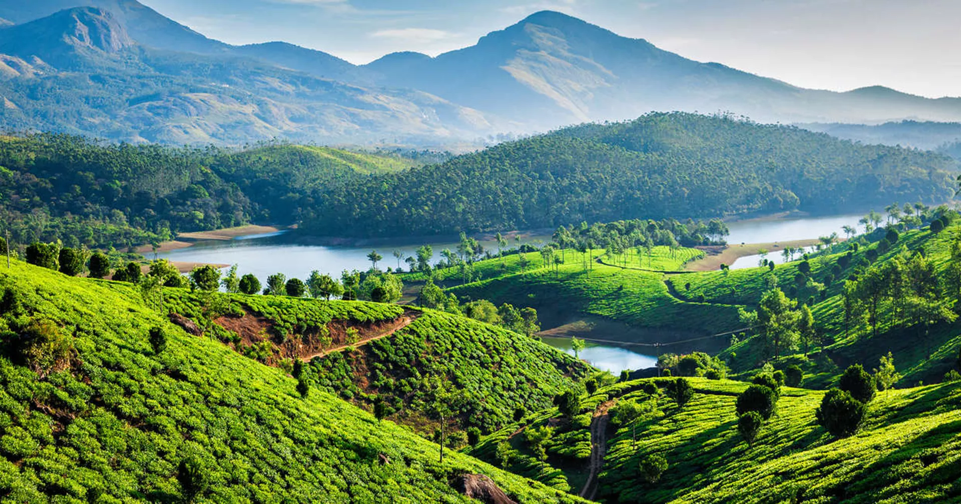 shimla package